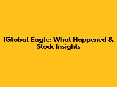 IGlobal Eagle: What Happened & Stock Insights