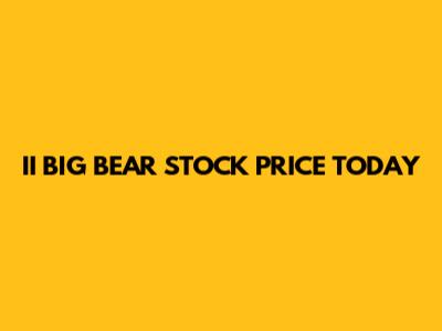 II BIG BEAR STOCK PRICE TODAY
