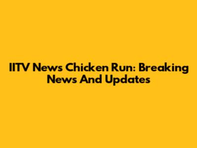 IITV News Chicken Run: Breaking News And Updates