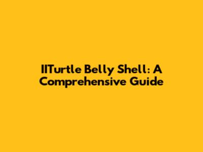 IITurtle Belly Shell: A Comprehensive Guide