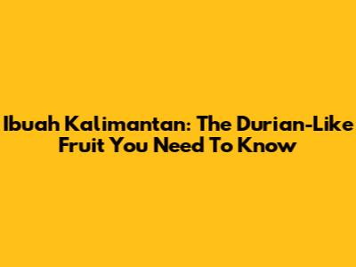 Ibuah Kalimantan: The Durian-Like Fruit You Need To Know
