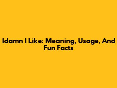 Idamn I Like: Meaning, Usage, And Fun Facts