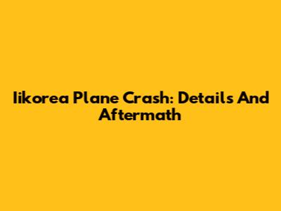 Iikorea Plane Crash: Details And Aftermath