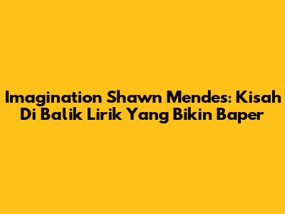 Imagination Shawn Mendes: Kisah Di Balik Lirik Yang Bikin Baper