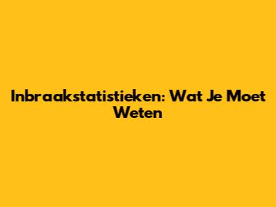 Inbraakstatistieken: Wat Je Moet Weten