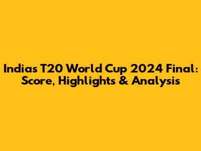India's T20 World Cup 2024 Final: Score, Highlights & Analysis