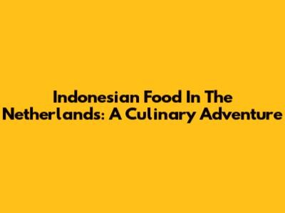 Indonesian Food In The Netherlands: A Culinary Adventure