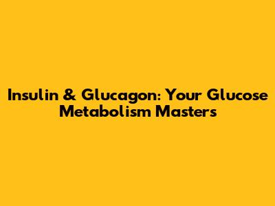 Insulin & Glucagon: Your Glucose Metabolism Masters