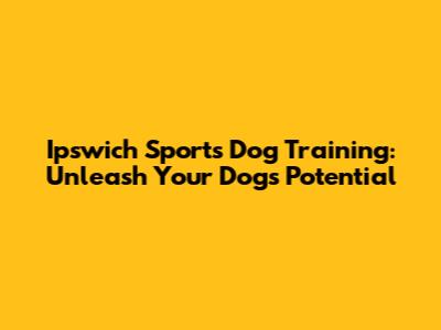 Ipswich Sports Dog Training: Unleash Your Dog's Potential