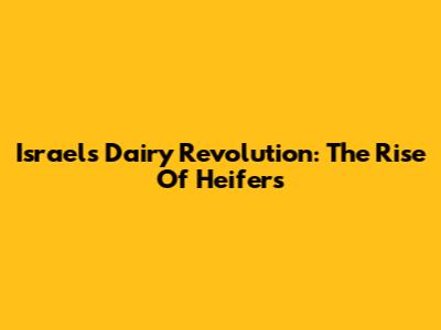 Israel's Dairy Revolution: The Rise Of Heifers