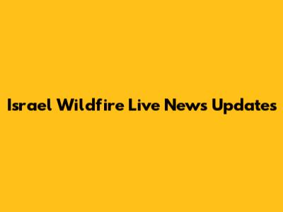 Israel Wildfire Live News Updates