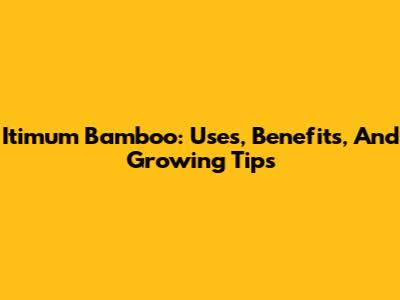 Itimum Bamboo: Uses, Benefits, And Growing Tips