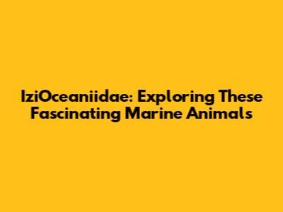 IziOceaniidae: Exploring These Fascinating Marine Animals