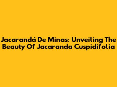 Jacarandá De Minas: Unveiling The Beauty Of Jacaranda Cuspidifolia