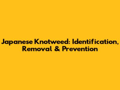 Japanese Knotweed: Identification, Removal & Prevention