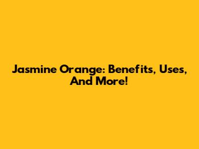 Jasmine Orange: Benefits, Uses, And More!