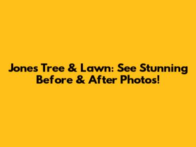Jones Tree & Lawn: See Stunning Before & After Photos!