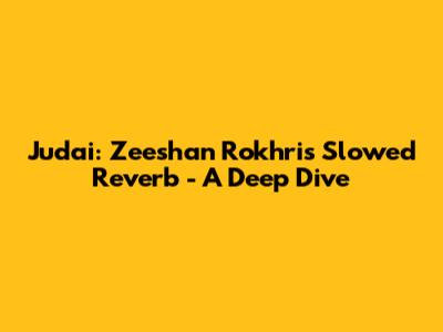 Judai: Zeeshan Rokhri's Slowed Reverb - A Deep Dive