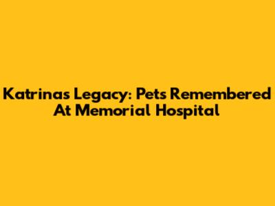 Katrina's Legacy: Pets Remembered At Memorial Hospital