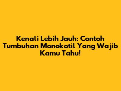 Kenali Lebih Jauh: Contoh Tumbuhan Monokotil Yang Wajib Kamu Tahu!
