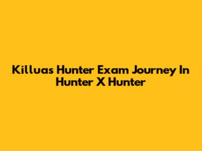 Killua's Hunter Exam Journey In Hunter X Hunter