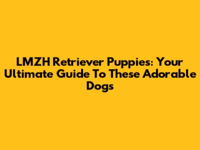 LMZH Retriever Puppies: Your Ultimate Guide To These Adorable Dogs