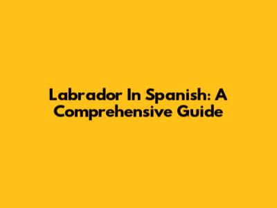 Labrador In Spanish: A Comprehensive Guide