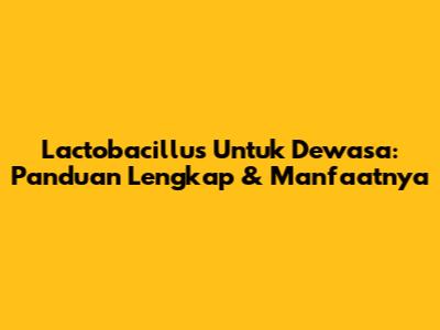 Lactobacillus Untuk Dewasa: Panduan Lengkap & Manfaatnya