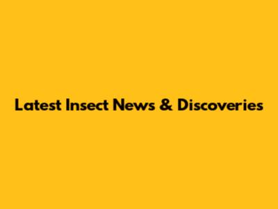 Latest Insect News & Discoveries