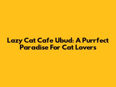 Lazy Cat Cafe Ubud: A Purrfect Paradise For Cat Lovers