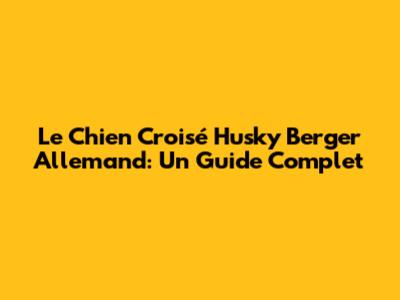 Le Chien Croisé Husky Berger Allemand: Un Guide Complet