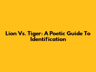 Lion Vs. Tiger: A Poetic Guide To Identification