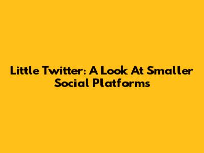 Little Twitter: A Look At Smaller Social Platforms