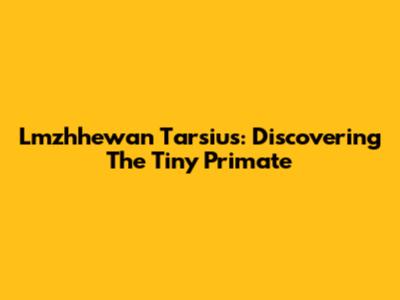 Lmzhhewan Tarsius: Discovering The Tiny Primate