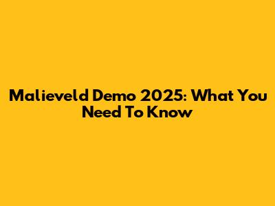 Malieveld Demo 2025: What You Need To Know