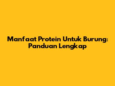 Manfaat Protein Untuk Burung: Panduan Lengkap