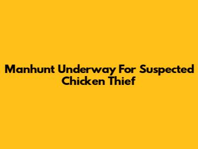 Manhunt Underway For Suspected Chicken Thief