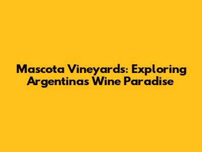 Mascota Vineyards: Exploring Argentina's Wine Paradise