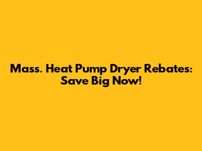 Mass. Heat Pump Dryer Rebates: Save Big Now!