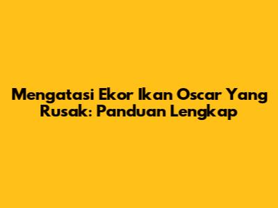 Mengatasi Ekor Ikan Oscar Yang Rusak: Panduan Lengkap