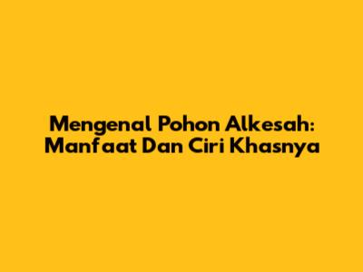 Mengenal Pohon Alkesah: Manfaat Dan Ciri Khasnya