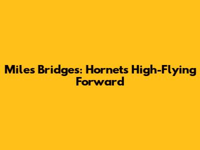 Miles Bridges: Hornets' High-Flying Forward