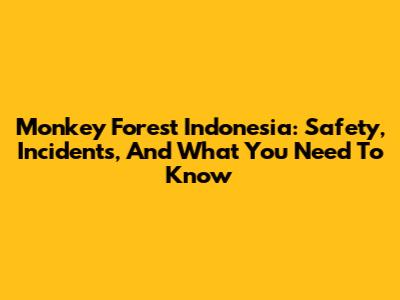 Monkey Forest Indonesia: Safety, Incidents, And What You Need To Know