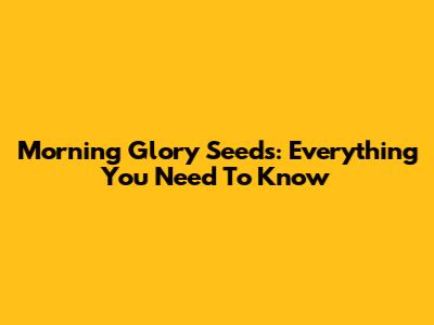 Morning Glory Seeds: Everything You Need To Know