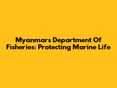 Myanmar's Department Of Fisheries: Protecting Marine Life
