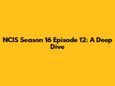NCIS Season 16 Episode 12: A Deep Dive