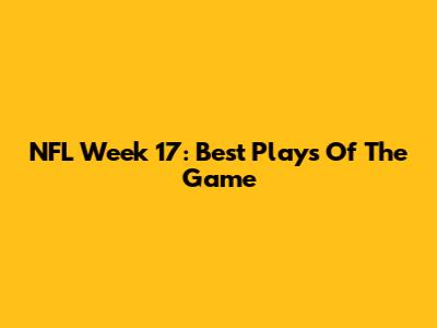 NFL Week 17: Best Plays Of The Game