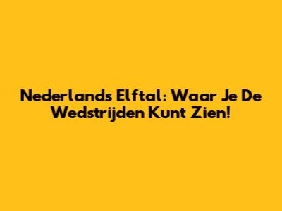 Nederlands Elftal: Waar Je De Wedstrijden Kunt Zien!