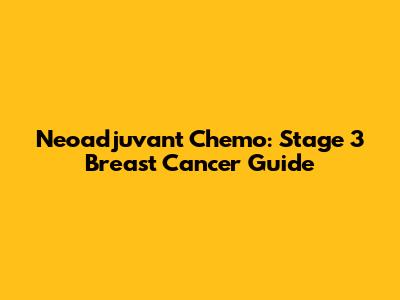 Neoadjuvant Chemo: Stage 3 Breast Cancer Guide