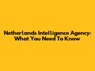 Netherlands Intelligence Agency: What You Need To Know